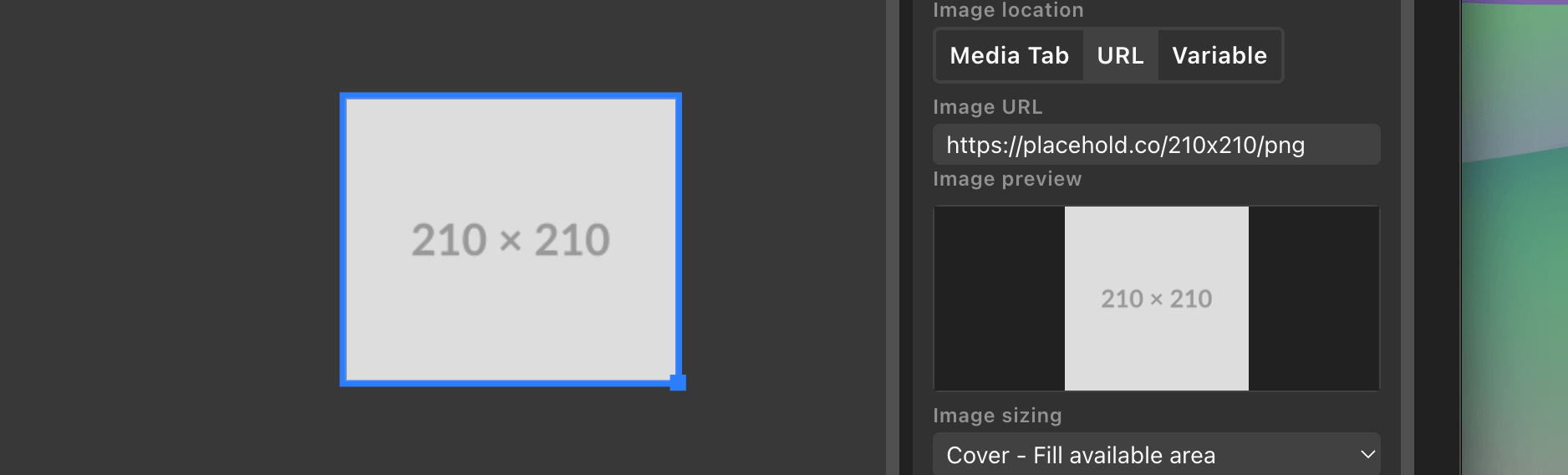 Image item with custom sizing