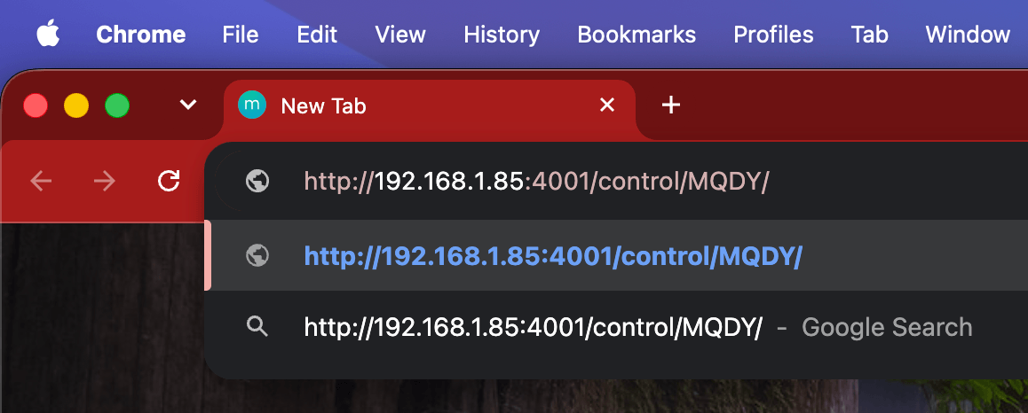 Entering the network URL in a browser